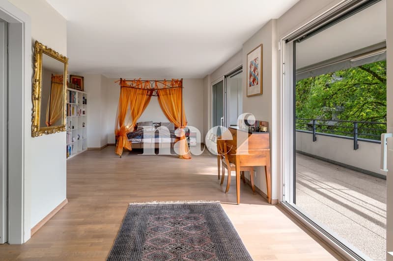 Magnifique appartement en duplex avec terrasse et jardin (10)
