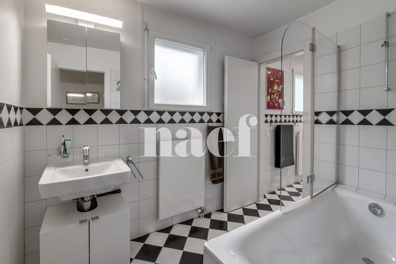 Magnifique appartement en duplex avec terrasse et jardin (10)