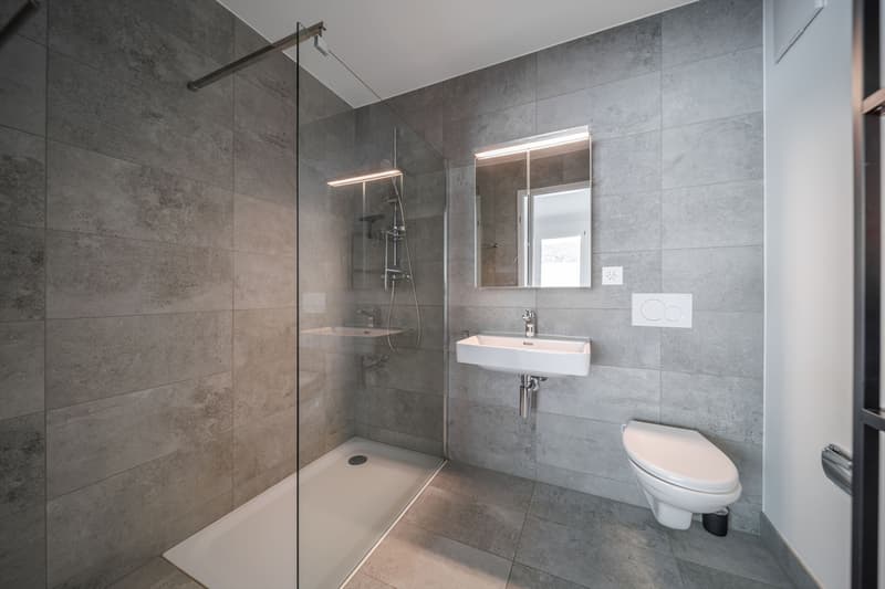 Spacieux appartement de 5,5 pièces avec vaste terrasse et vue sur le lac (8)