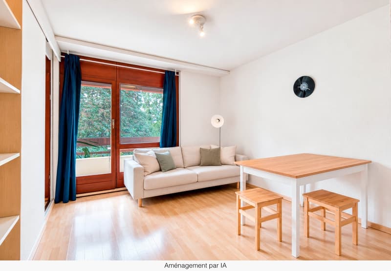 Appartement de 1,5 pièces avec balcon idéal pour un investissement (2)