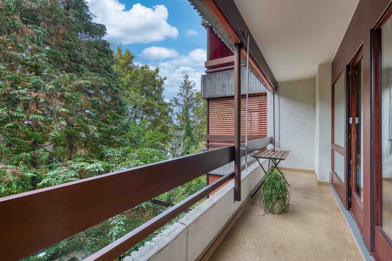 Appartement de 1,5 pièces avec balcon idéal pour un investissement (7)