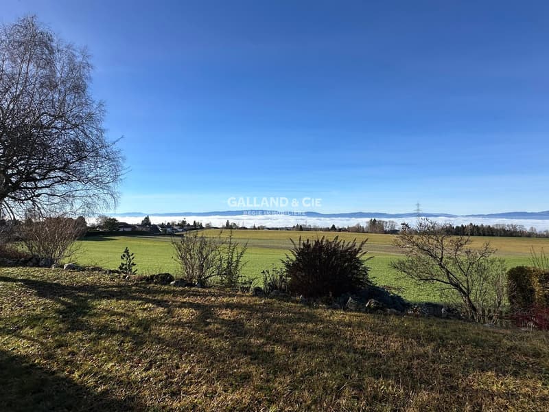 Flat land, green grass, a tree on the left, view of a vast field and mountains in the distance.