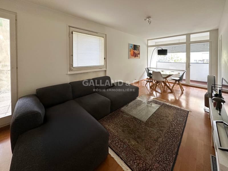 1 lot de PPE: logement principal de 6.5 pièces libre et un 3.5 pièces loué (12)