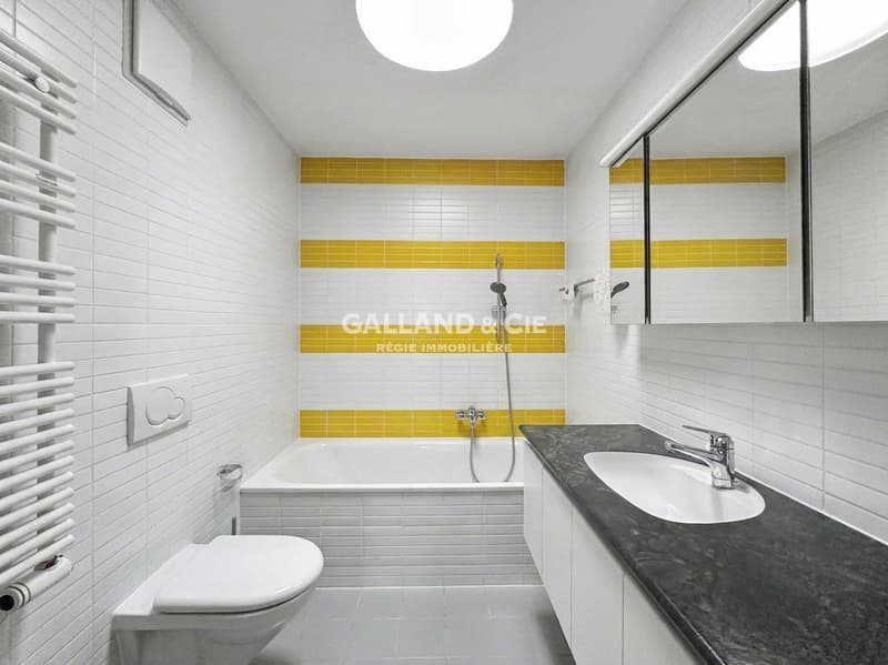 Près de Chailly - Lausanne - Splendide 3.5 pièces - ~132 m² hab. (7)