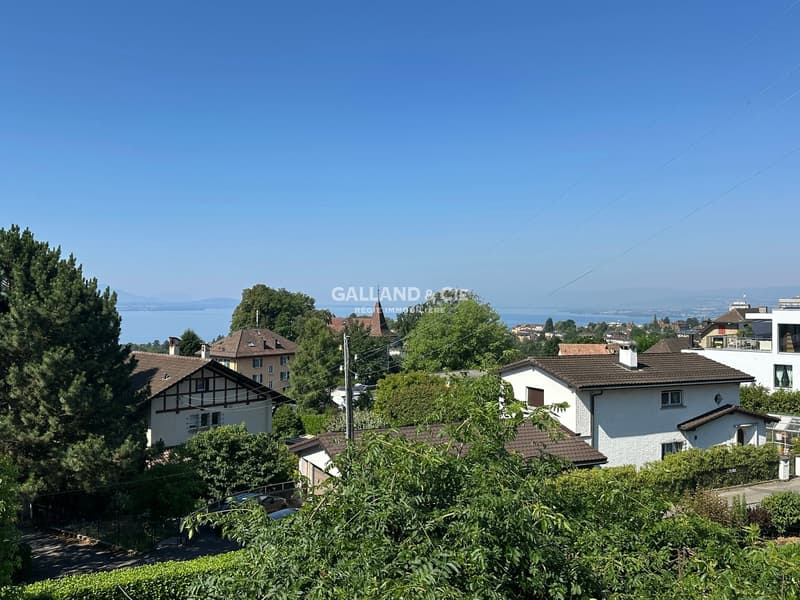 Superbe maison individuelle de 6.5 pièces avec studio indépendant (2)