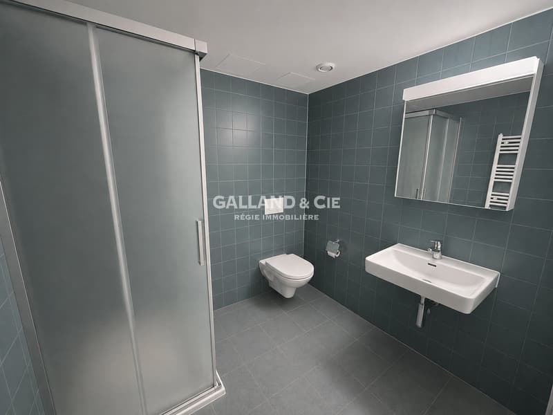 Généreuse surface pour profession médicale ou bureaux - ~164 m² (6)