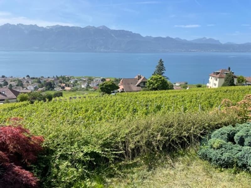 Appartement 4.5 pièces avec vue panoramique à Grandvaux (8)