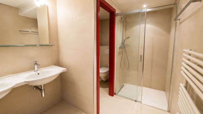 Appartement 4.5 pièces avec vue panoramique à Grandvaux (6)