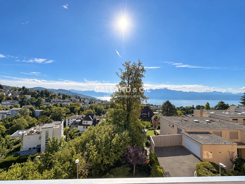 Spacieux 3.5 pièces avec vue - ~ 130 m² - Quartier Mousquines-Verdeil (3)