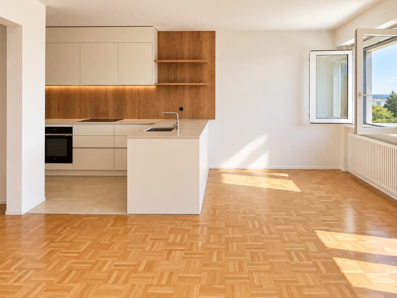 Superbe appartement rénové proche du lac (1)