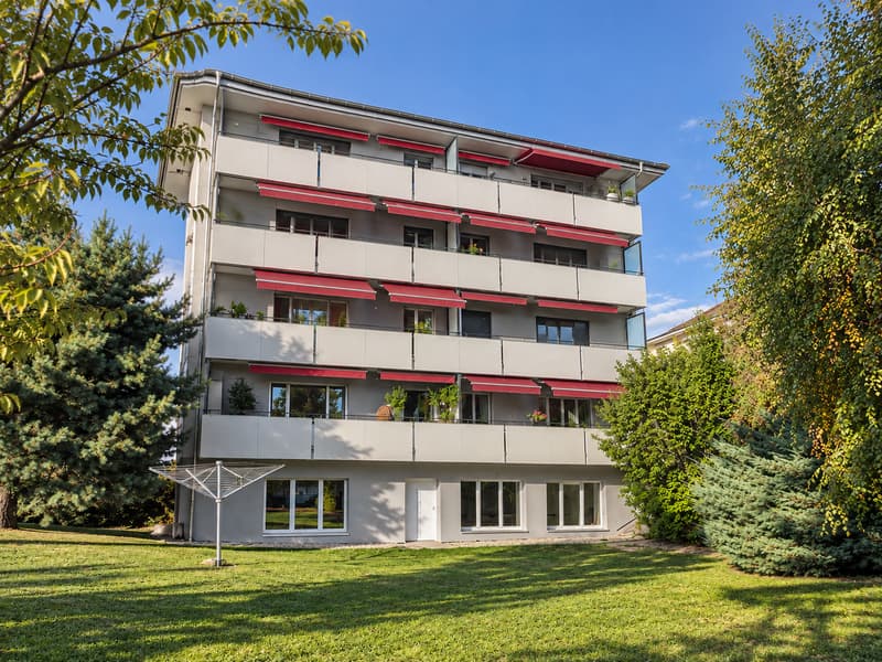 Superbe appartement rénové proche du lac (6)
