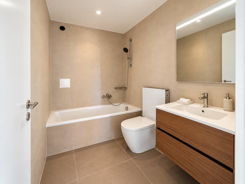 Superbe appartement rénové proche du lac (4)