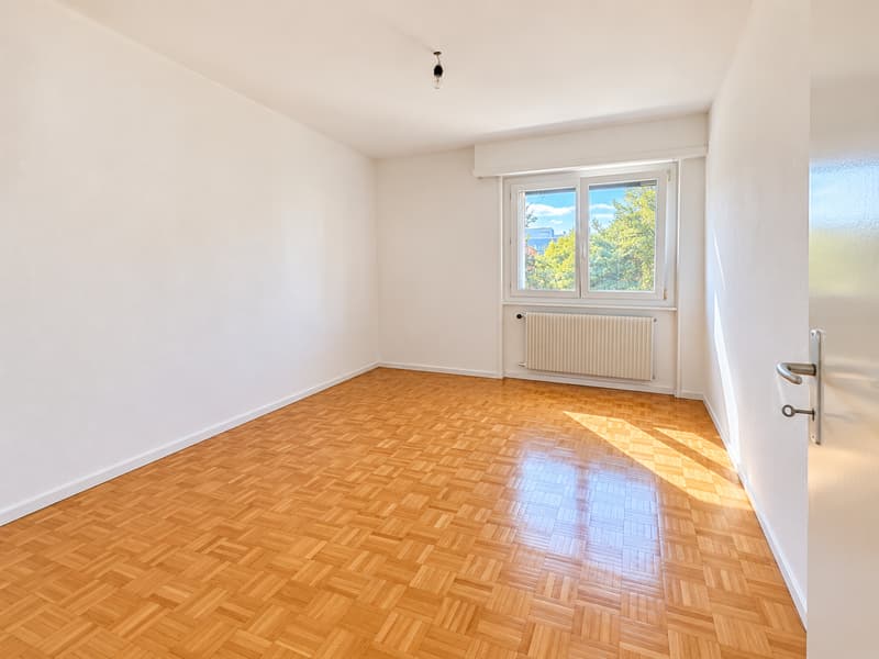 Superbe appartement rénové proche du lac (3)