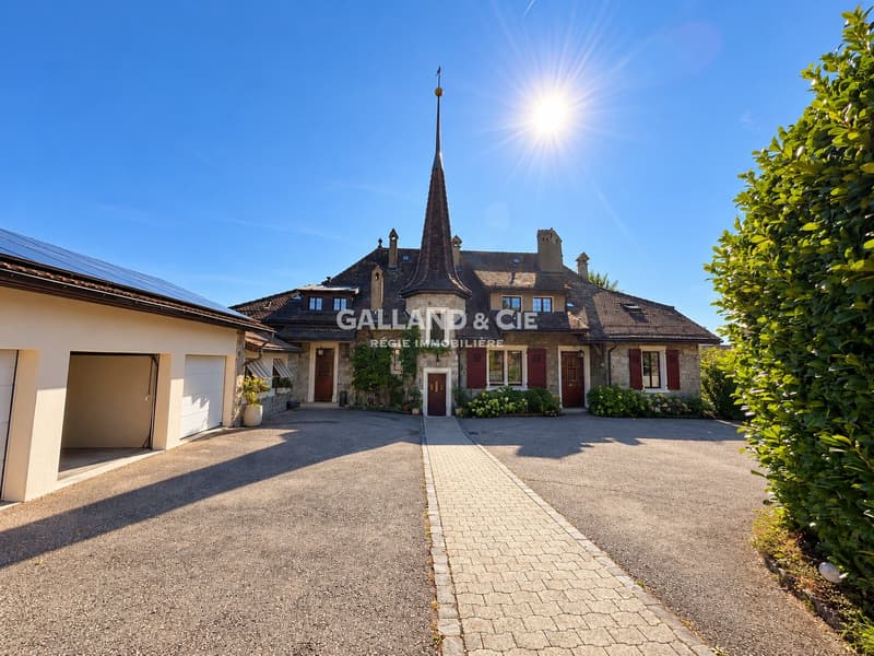 Splendide 6.5 pièces avec terrasse et jardin (13)