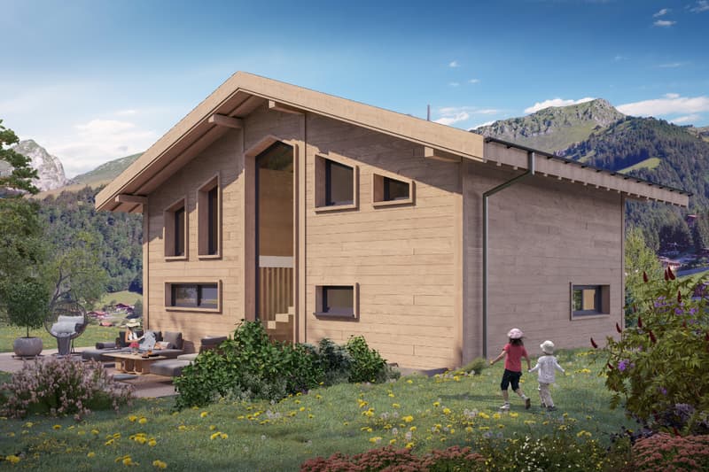 Chalet neuf et contemporain dans un écrin de verdure (2)