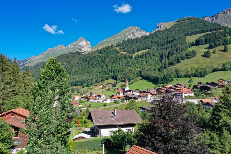 Chalet neuf et contemporain dans un écrin de verdure (4)
