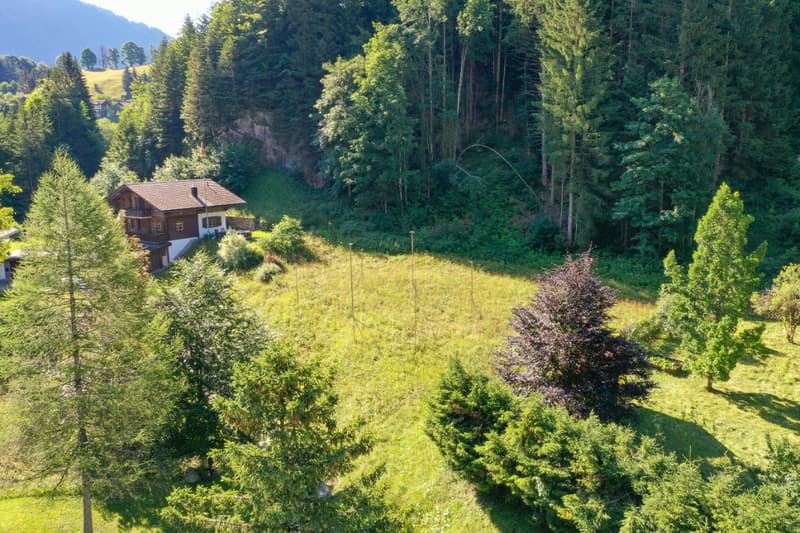 Chalet neuf et contemporain dans un écrin de verdure (5)
