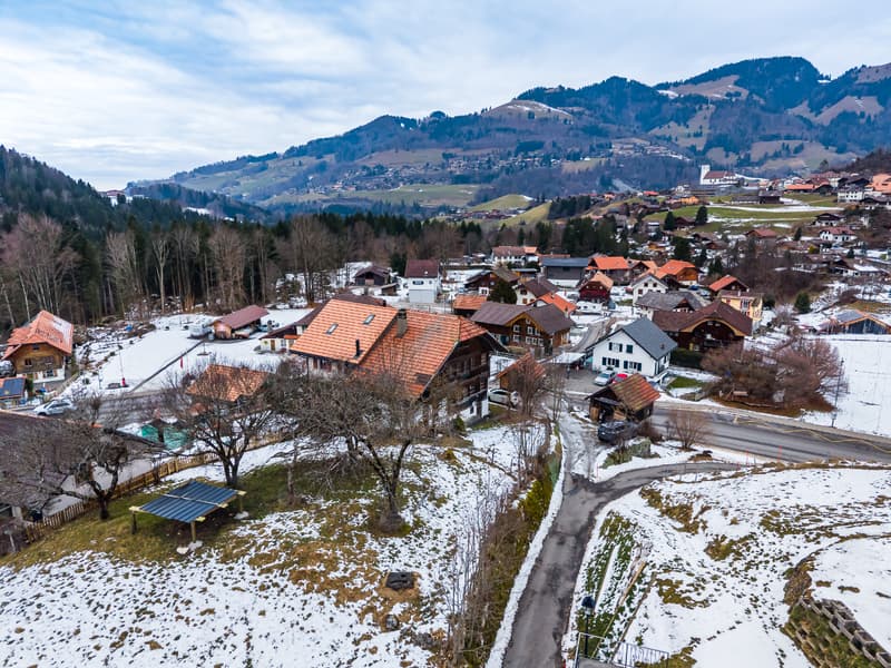Opportunité : vente par appel d'offres - maison mitoyenne avec cachet (10)