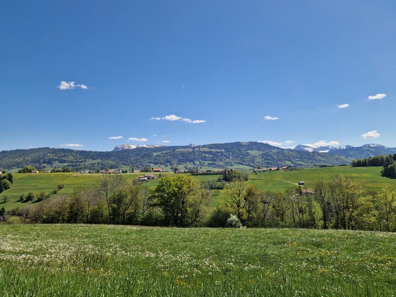 Opportunité : villas neuves entre Châtel-St-Denis et Bulle (2)