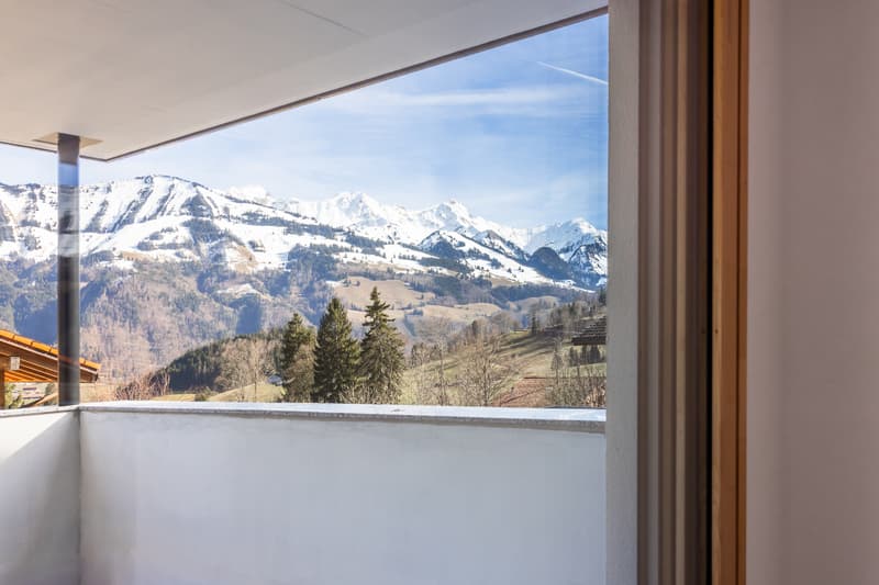 Dernière opportunité : appartement neuf de 4½ pces avec vaste (6)