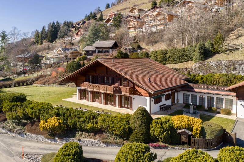 Prestige alpin et discrétion : joyau exclusif au coeur de la Gruyère (2)