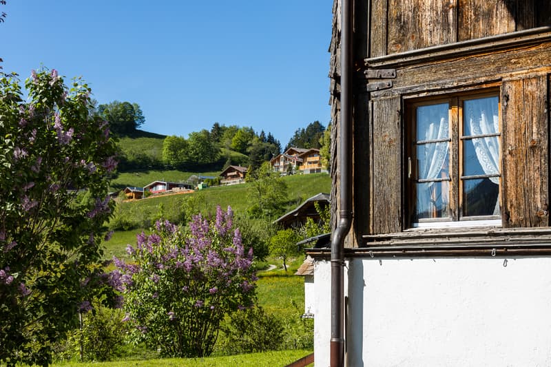 Maison villageoise de charme et avec ravissant jardin (5)