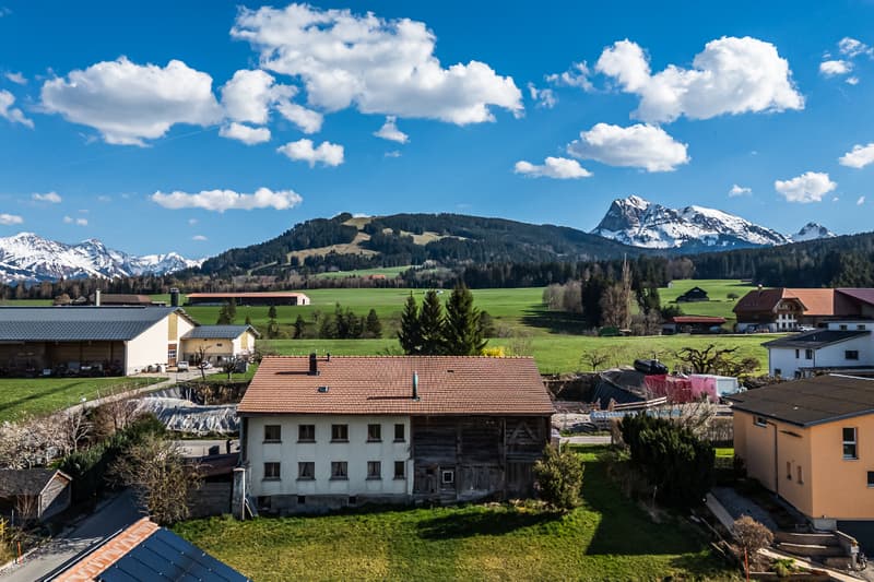 À saisir : ferme individuelle avec rural en Gruyère (2)