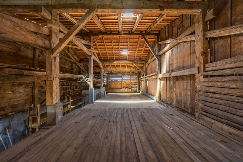 À saisir : ferme individuelle avec rural en Gruyère (9)