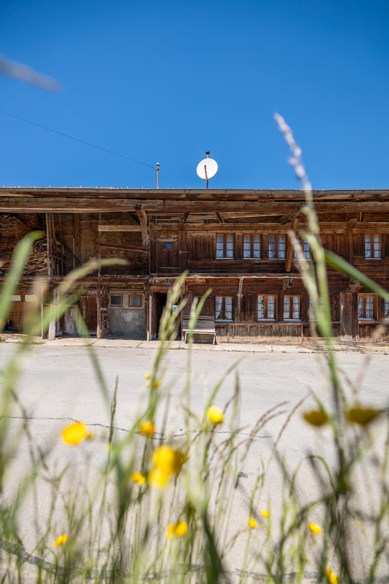 À saisir : ferme individuelle avec rural en Gruyère (11)