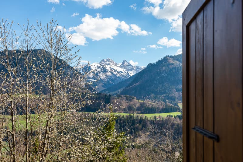 Votre coin de paradis en pleine nature (3)