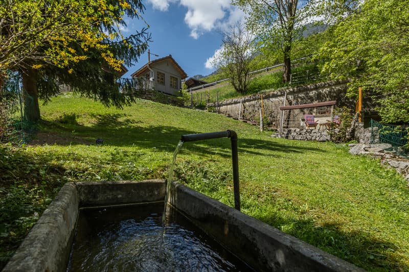 Propriété bifamiliale dans un environnement naturel privilégié (3)
