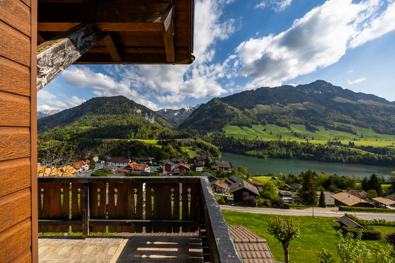 Chalet de charme, avec vue exceptionnelle et imprenable (2)
