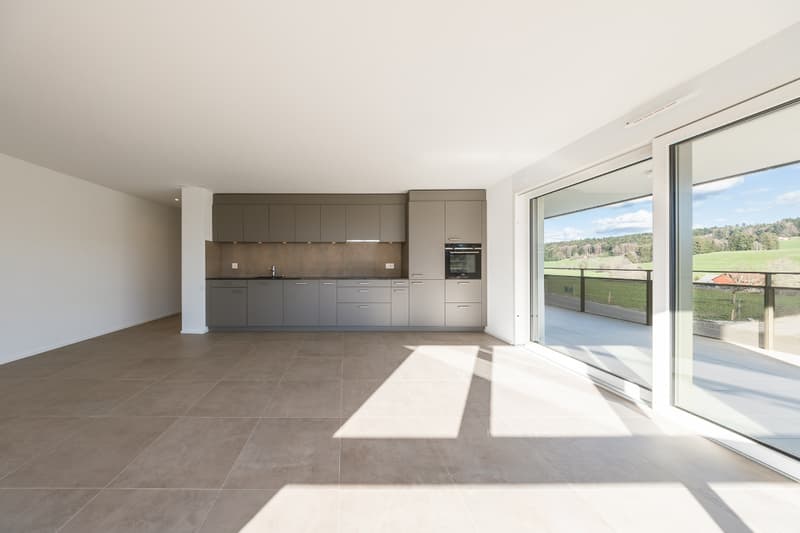 Appartement neuf de 3½ pièces au 2ème étage : dernière (5)