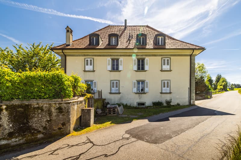 Opportunité rare : vaste domaine avec potentiel constructible (8)