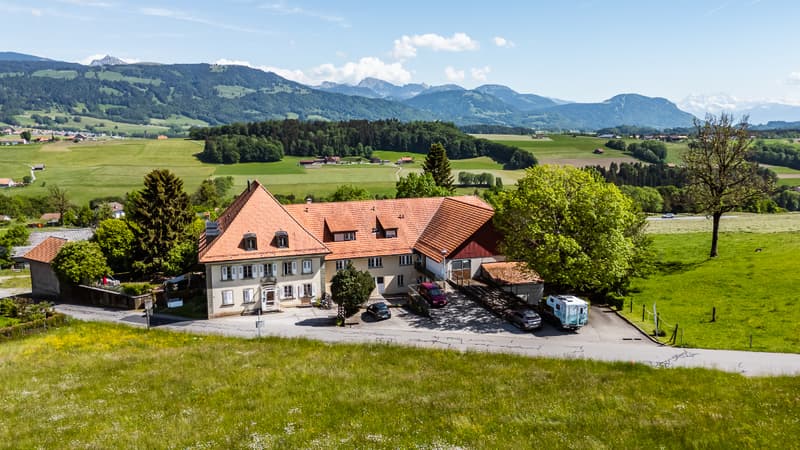 Opportunité rare : vaste domaine avec potentiel constructible (10)