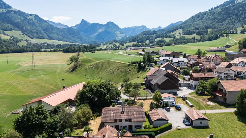 Atmosphère chaleureuse et authentique : maison mitoyenne avec jardin (11)