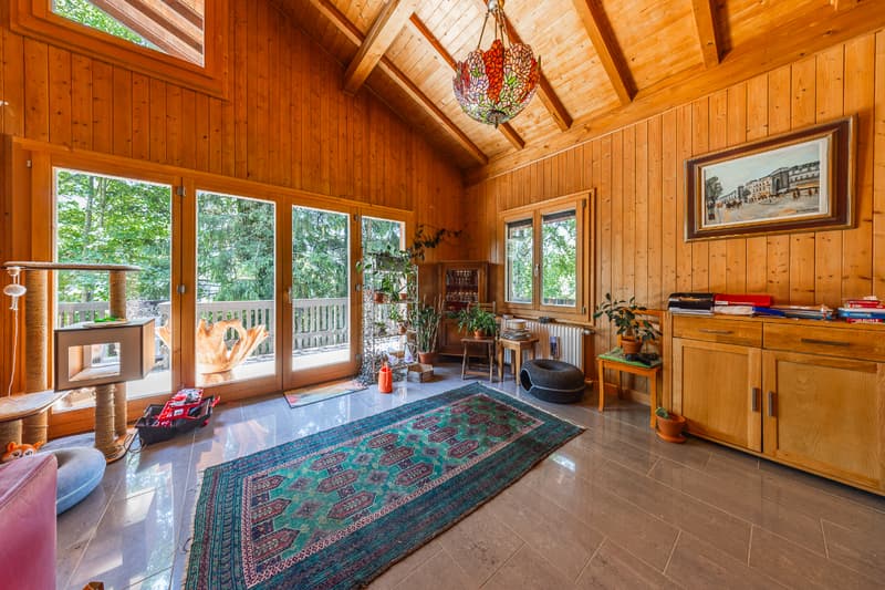 Chalet dans un écrin de verdure : situation et terrain d'exception (6)