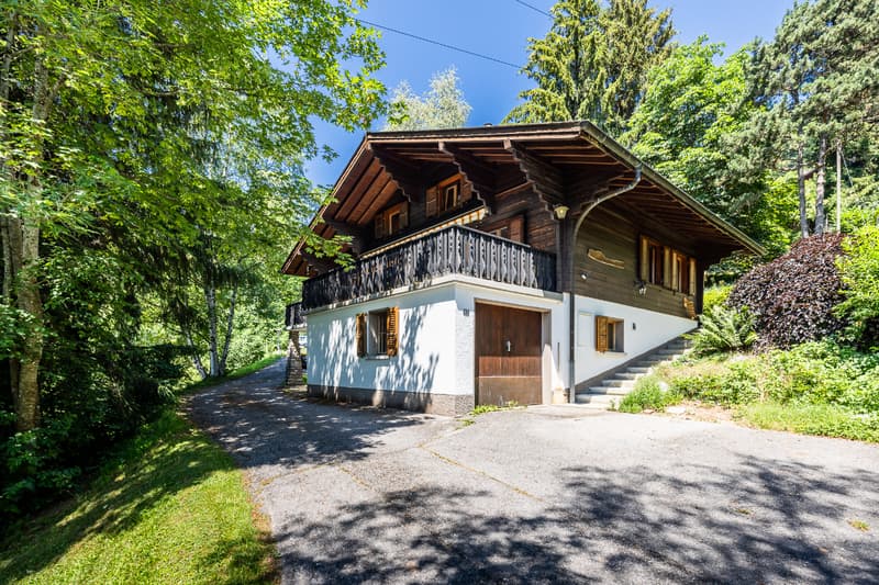 Chalet dans un écrin de verdure : situation et terrain d'exception (2)
