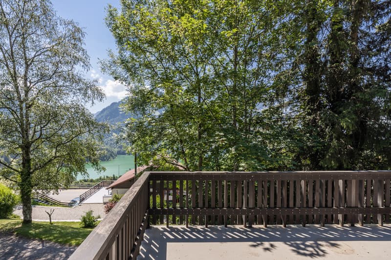 Chalet dans un écrin de verdure : situation et terrain d'exception (5)