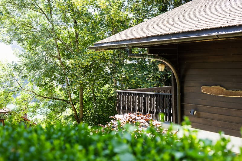 Chalet dans un écrin de verdure : situation et terrain d'exception (1)