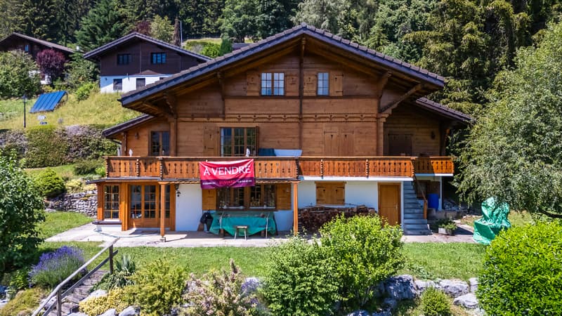 Chalet de charme au coeur d'un paysage préalpin grandiose (13)