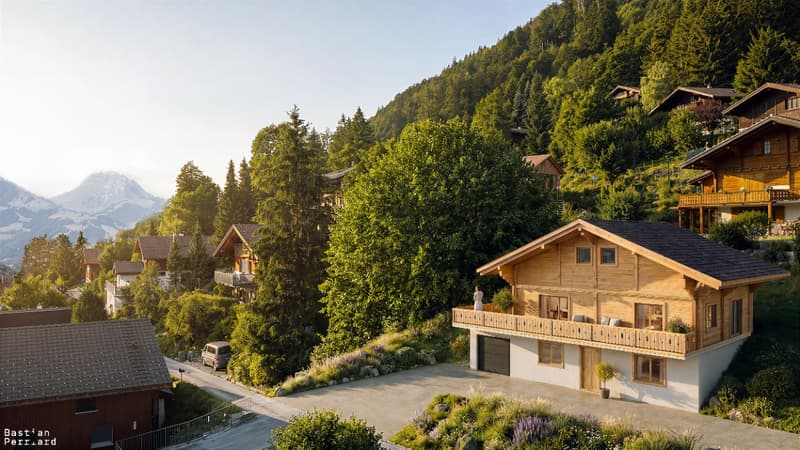 Opportunité exclusive : chalet neuf en madrier avec vue dégagée (2)