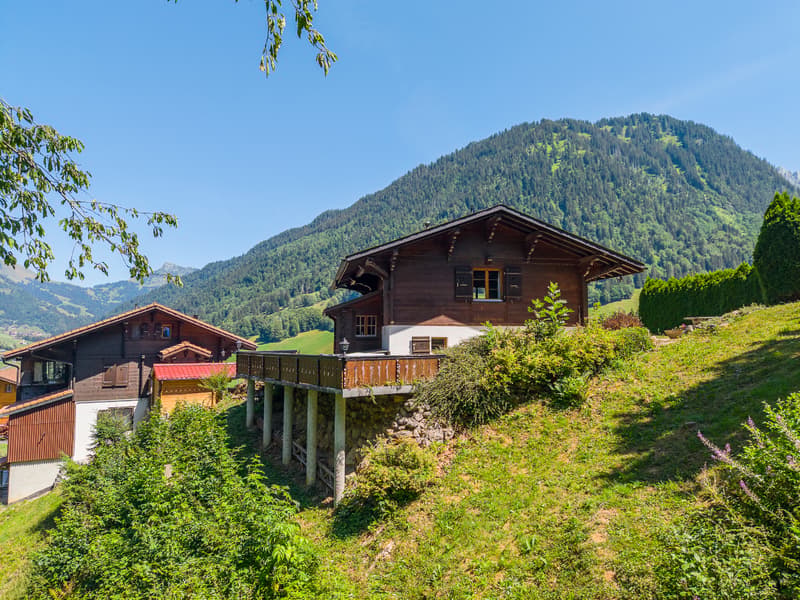 Vivre au rythme de la nature : chalet de 4½ pièces au calme et avec (2)
