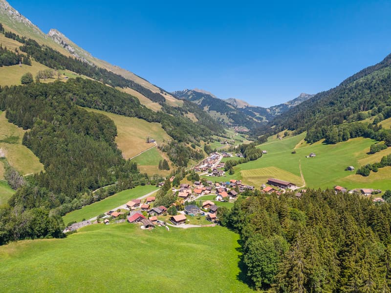 Vivre au rythme de la nature : chalet de 4½ pièces au calme et avec (6)