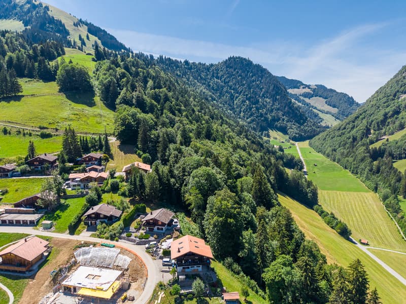 Vivre au rythme de la nature : chalet de 4½ pièces au calme et avec (5)
