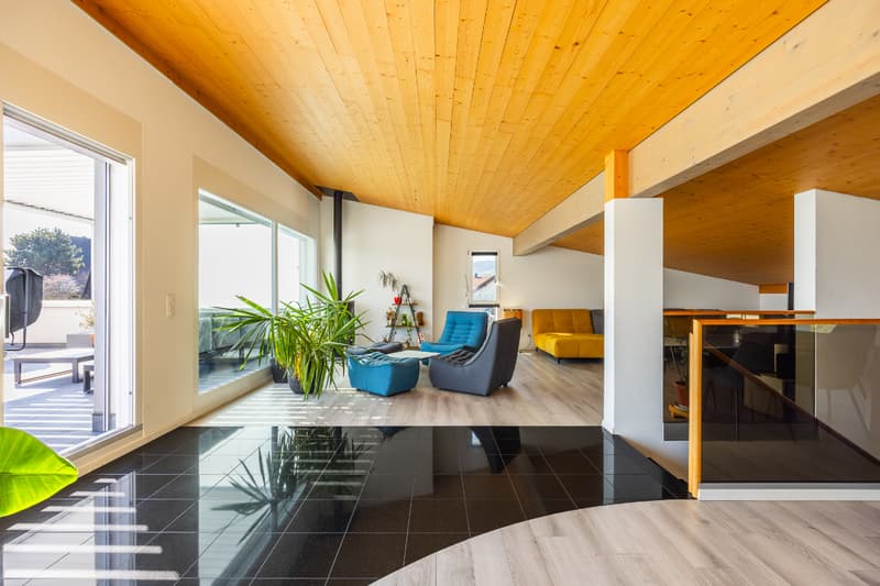 Rare à la vente : attique en duplex avec vaste terrasse (7)