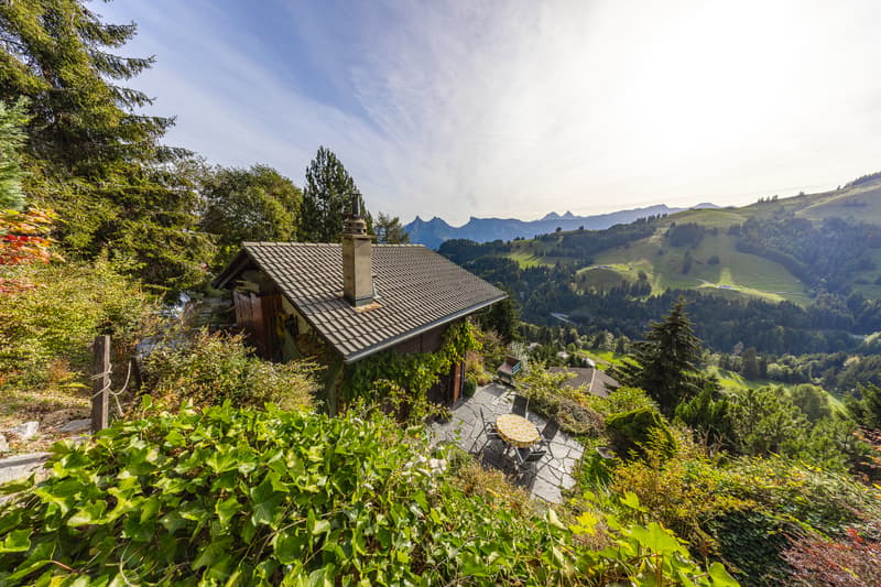 Une parenthèse de tranquillité en lisière de forêt et au pied du (4)