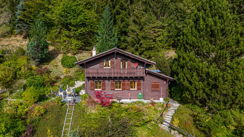 Une parenthèse de tranquillité en lisière de forêt et au pied du (3)