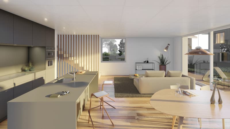 Villa individuelle neuve et de standing en Gruyère - Villa E (vente (3)