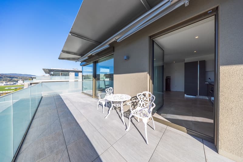 Appartement attique de standing, moderne et lumineux (6)